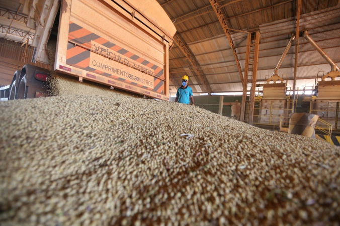 Armazenamento da soja após a colheita realizada na Fazenda Itamarati, do grupo Amaggi, em Tangará
