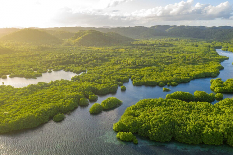 4 motivos para visitar a Amazônia