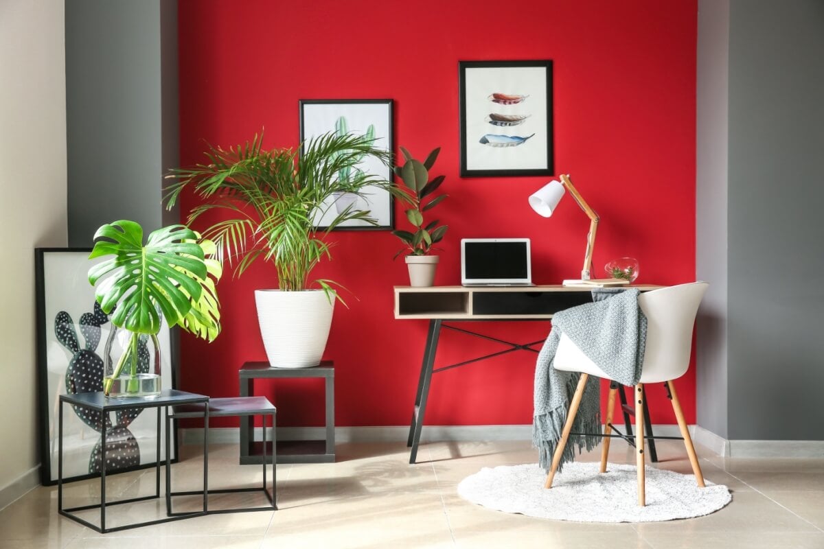 Aspectos do Feng Shui podem ser usados para decorar a casa na primavera 