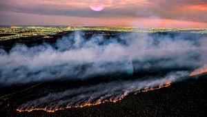 Sobrevoo o Parque Nacional de Brasília, atingido por incêndio