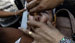 Uma enfermeira administra gotas de vacina contra a poliomielite em crianças palestinas em uma escola da ONU no campo de Khan Yunis, no sul da Faixa de Gaza, em 05 de setembro de 2024. De acordo com a Diretora Regional da UNICEF para o Oriente Médio e Norte da África, Adele Khodr, a primeira fase de uma campanha de vacinação contra a poliomielite de duas rodadas, de 01 a 03 de setembro, superou sua meta inicial (estimada em 157.000 crianças devido ao movimento populacional) e atingiu mais de 189.000 crianças menores de 10 anos na Faixa de Gaza central. O lançamento da próxima fase da campanha ocorrerá no sul de Gaza de 05 a 08 de setembro de 2024, atingindo cerca de 340.000 crianças menores de 10 anos, disse a Organização Mundial da Saúde (OMS). Para evitar a disseminação da variante circulante do poliovírus tipo 2 (cVDPV2), uma campanha de vacinação contra a poliomielite com a nova vacina oral contra o poliovírus tipo 2 (nOPV2) foi lançada no enclave palestino depois que a OMS e a UNICEF pediram pausas humanitárias no conflito para permitir a vacinação após a descoberta do poliovírus em amostras ambientais de Khan Yunis e Deir Al Balah em julho de 2024.