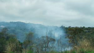 Mesmo com a virada de tempo, novo foco de incêndio pode ser visto na Serra da Cantareira, zona norte de São Paulo