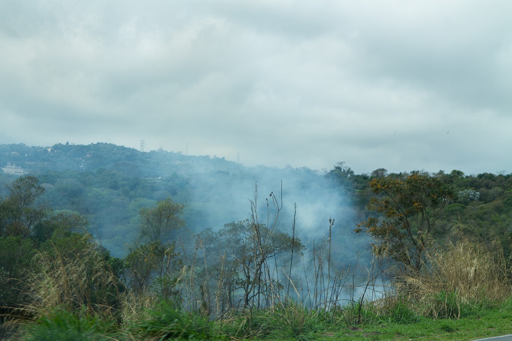 Governo federal libera R$ 7,7 bilhões para recuperação de áreas atingidas por incêndios florestais