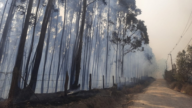 Incêndio no Pico das Cabras já dura 12h e ameaça observatório astronômico de Campinas