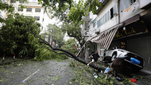 Ha Um homem sobe em uma árvore caída após o tufão Yagi atingir a costa em Hanói, Vietnã, em 8 de setembro de 2024. O tufão Yagi, a tempestade mais poderosa da Ásia até agora neste ano, atingiu o norte do Vietnã em 7 de setembro, matando 14 pessoas e ferindo outras 220, de acordo com estatísticas da Autoridade de Gestão de Desastres e Diques do Vietnã, subordinada ao Ministério da Agricultura e Desenvolvimento Rural. (tormenta)