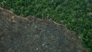 Terra Indígena Karipuna de Rondônia tem cenário de incêndio e seca