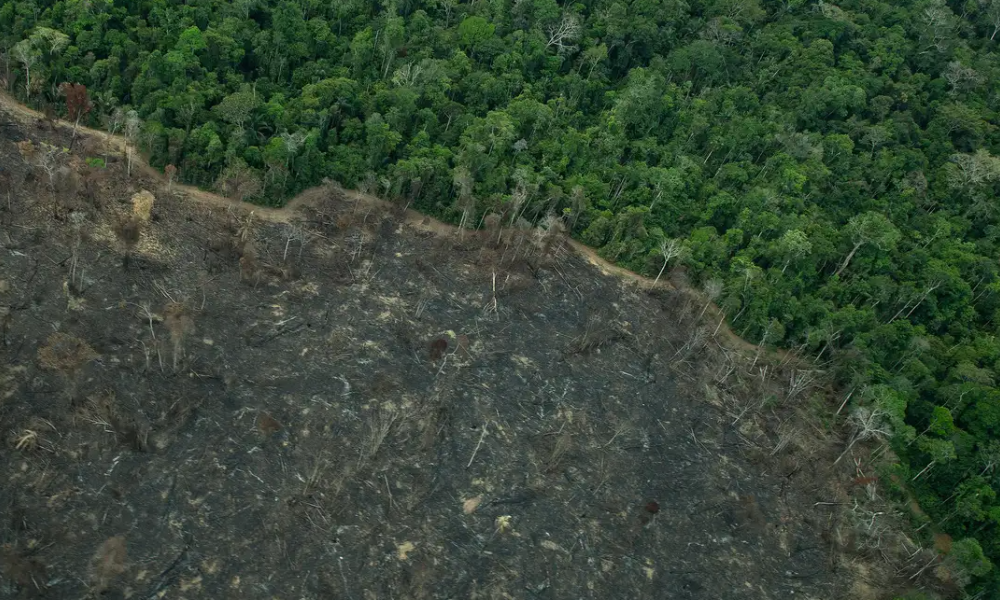 Terra Indígena Karipuna de Rondônia tem cenário de incêndio e seca