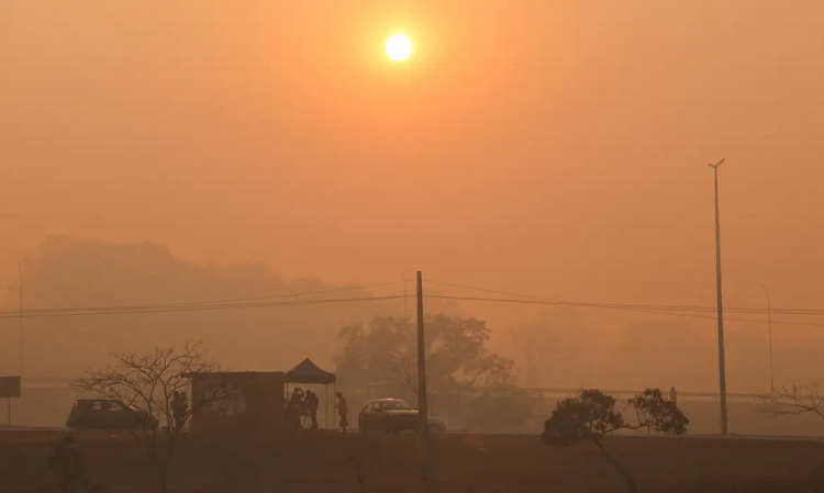 Após incêndio no Parque Nacional de Brasília, fumaça cobre cidade e escolas suspendem aulas