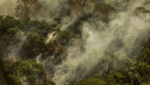 Imagens aéreas mostram áreas devastadas pelo fogo no Pantanal