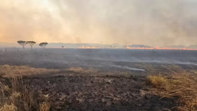 Incêndio destrói cerca de 10 mil hectares na Chapada dos Veadeiros, em Goiás