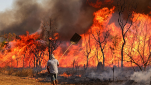 Incêndio atingiu o Parque Nacional de Brasília