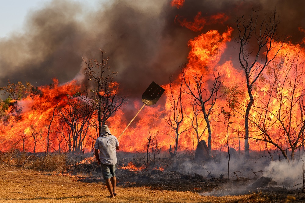 Incêndio atingiu o Parque Nacional de Brasília