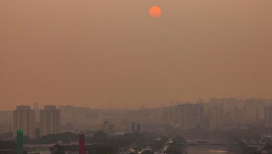 São Paulo teve tarde de baixa umidade,