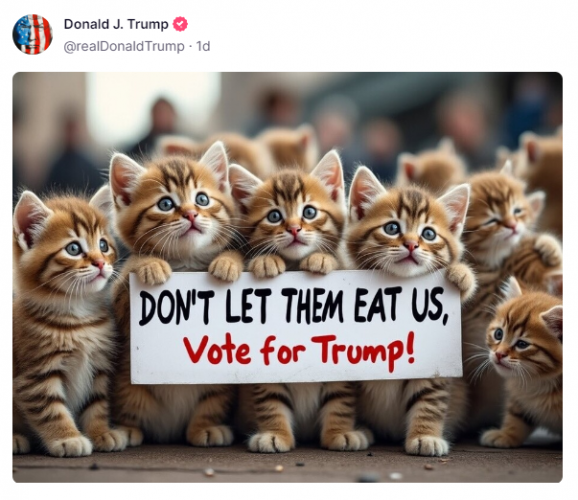 Imagem gerada por inteligência artificial mostra gatos com cartaz onde se lê "Não deixe que nos comam, vote Trump"