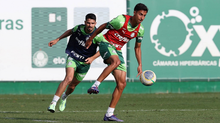 Treino Palmeiras