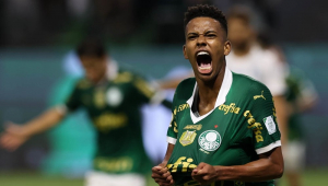 O jogador Estêvão, da SE Palmeiras, comemora seu gol contra a equipe do Grêmio FBPA, durante partida válida pela trigésima terceira rodada, do Campeonato Brasileiro