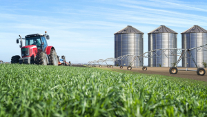 Exportação do agronegócio alcança recorde de US$ 38,1 bilhões no 1º trimestre