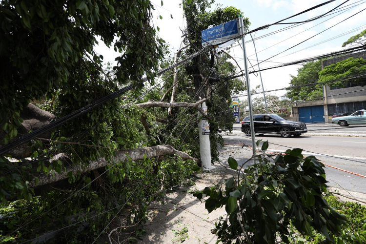 Defesa Civil solicita que empresas de energia se preparem para tempestade em São Paulo