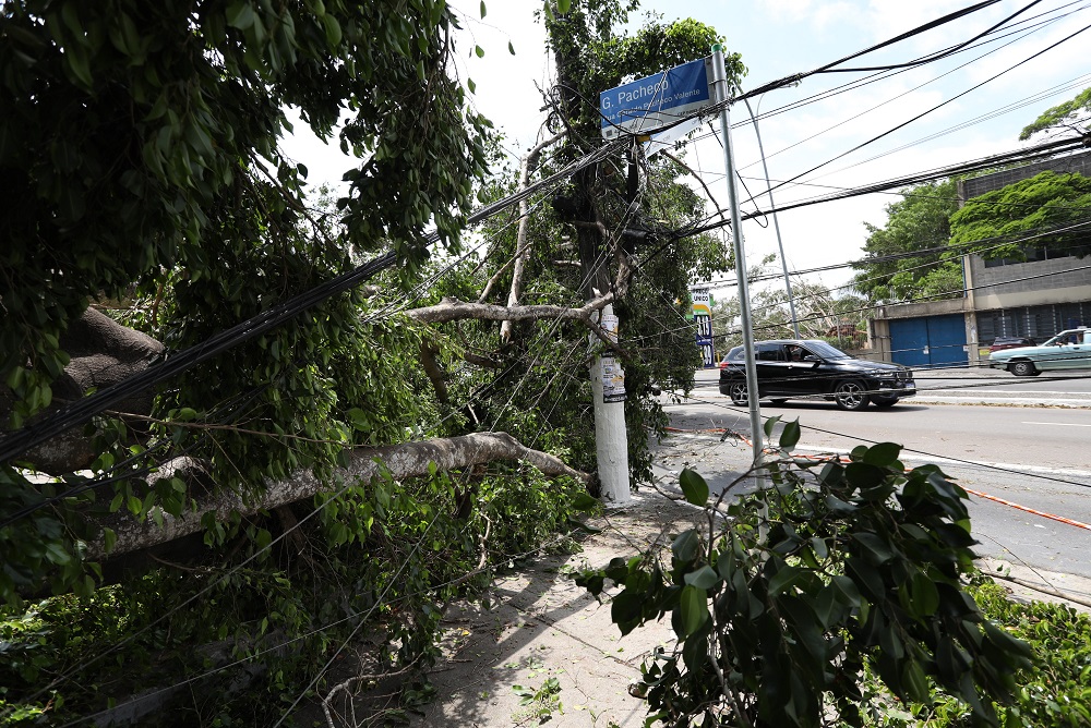 O temporal, seguido de vento forte, que atingiu a zona sul da capital paulista