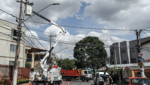 Temporal provoca queda de árvores em toda a cidade