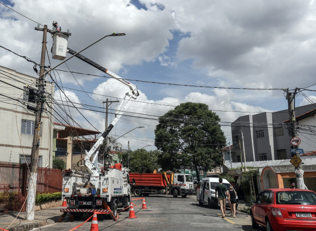 Temporal provoca queda de árvores em toda a cidade