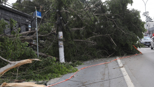 SÃO PAULO_TEMPORAL_ESTRAGOS_ZONA SUL