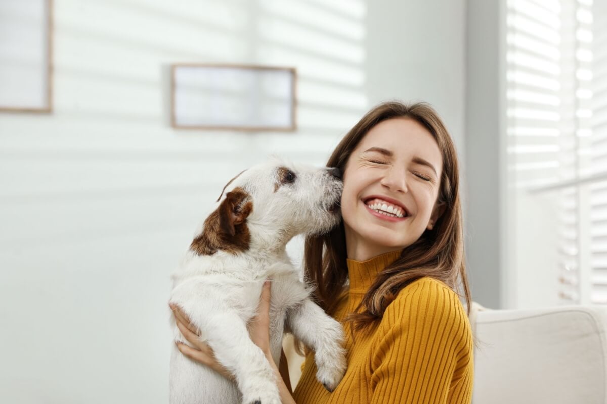 Antes de ter um pet, é necessário entender as responsabilidades de um tutor 