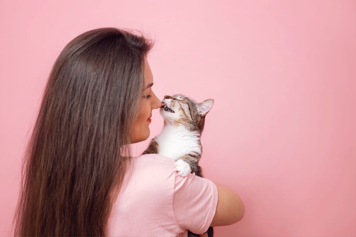 Os motivos pelos quais os gatos lambem seus tutores incluem desde cuidado com a limpeza até conexão emocional 