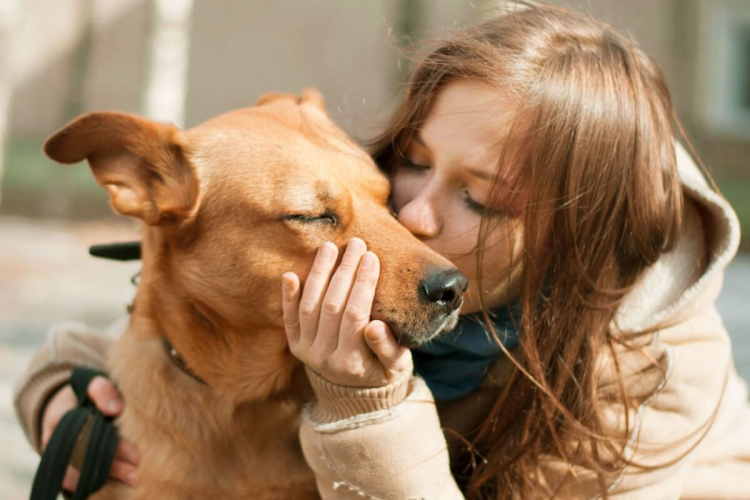 8 dicas para fortalecer o vínculo com o cachorro 