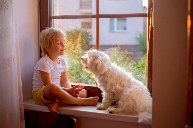 8 dicas para uma boa convivência entre cachorros e crianças