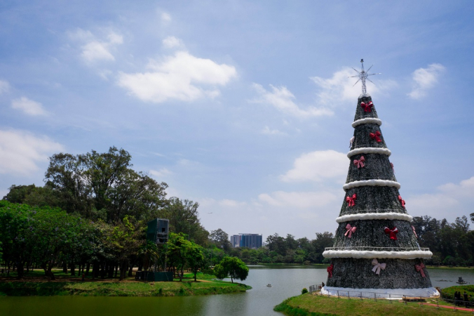 ÁRVORE NATAL-PARQUE IBIRAPUERA