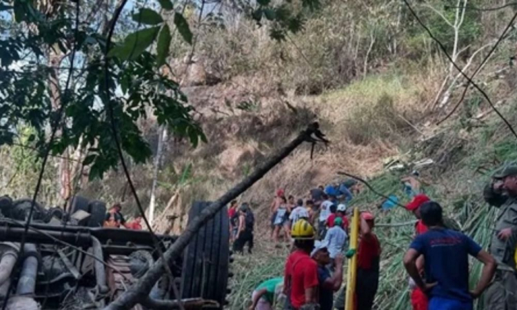 Ônibus escolar cai em ribanceira e deixa ao menos 23 mortos em Alagoas