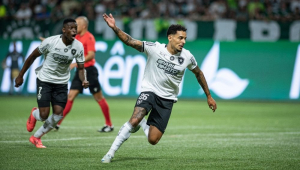 botafogo vence palmeiras