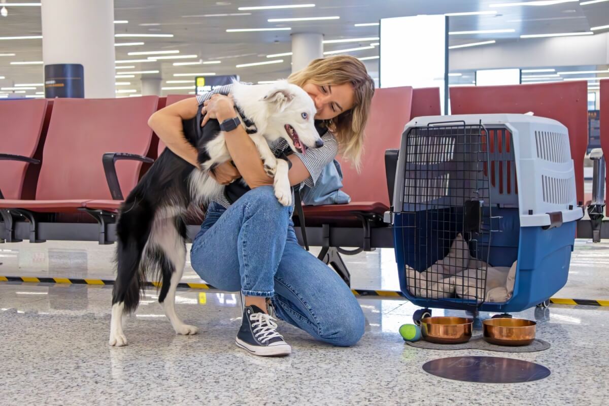 Novas regras devem aumentar a segurança e o conforto dos pets domésticos durante viagens de avião 