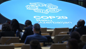 COP29