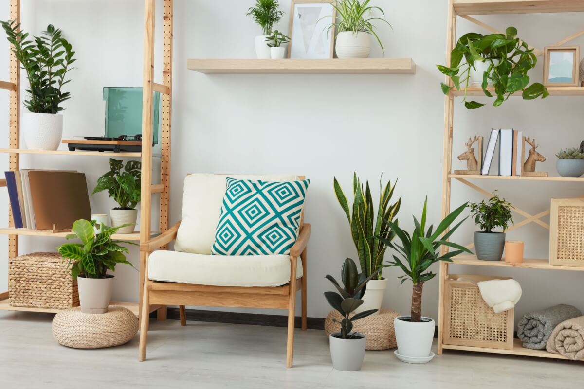 As plantas trazem vida para a decoração e refrescam o ambiente 