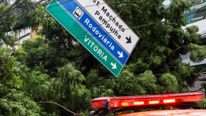 Queda de árvore interdita a Rua dos Goitacazes, no bairro Barro Preto, na região centro-sul da capital mineira,