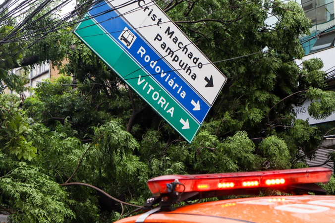 Queda de árvore interdita a Rua dos Goitacazes, no bairro Barro Preto, na região centro-sul da capital mineira,