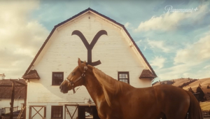 Cavalo Caramelo, símbolo das enchentes do RS, protagoniza chamada da série ‘Yellowstone’