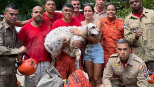 Anitta publicou agradecimento aos bombeiros em suas redes sociais por terem a ajudado a encontrar o cachorro Charlie