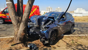 Carro destruído após choque com árvotr