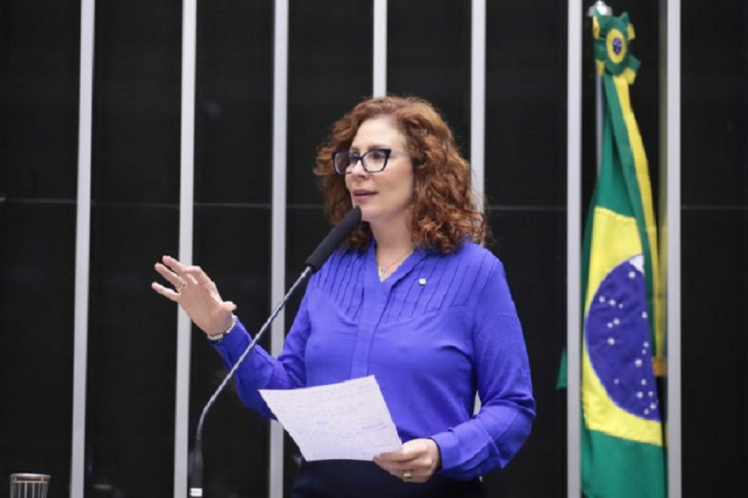 Carla Zambelli leu parecer sobre o projeto