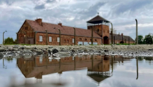 Auschwitz Memorial and Museum