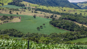 Plantação de soja em propriedade localizada em Manoel Ribas, na Região Sul do Paraná