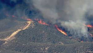 incendios los angeles