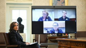 Karen Bass em reuniçao virtual com kamala harris