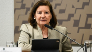 Maria Luiza Viotti