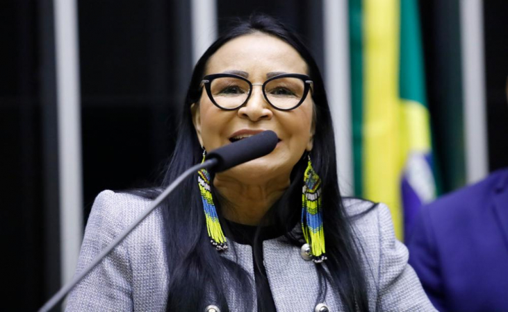 A deputada federal Silvia Waiãpi no plenário da Câmara dos Deputados