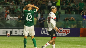 palmeiras e são paulo