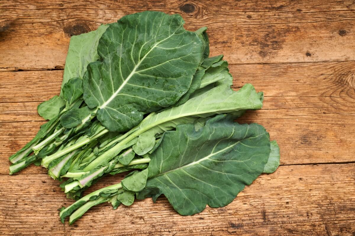 Il cavolo è un cibo versatile e nutriente 